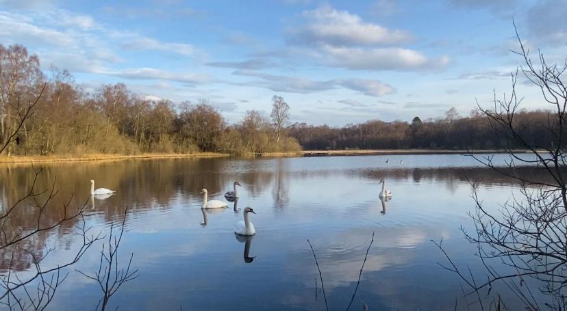 The Lodge At Muir Estate Thornhill  エクステリア 写真
